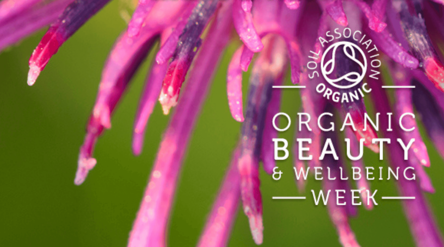 5 amazing benefits of organic soap