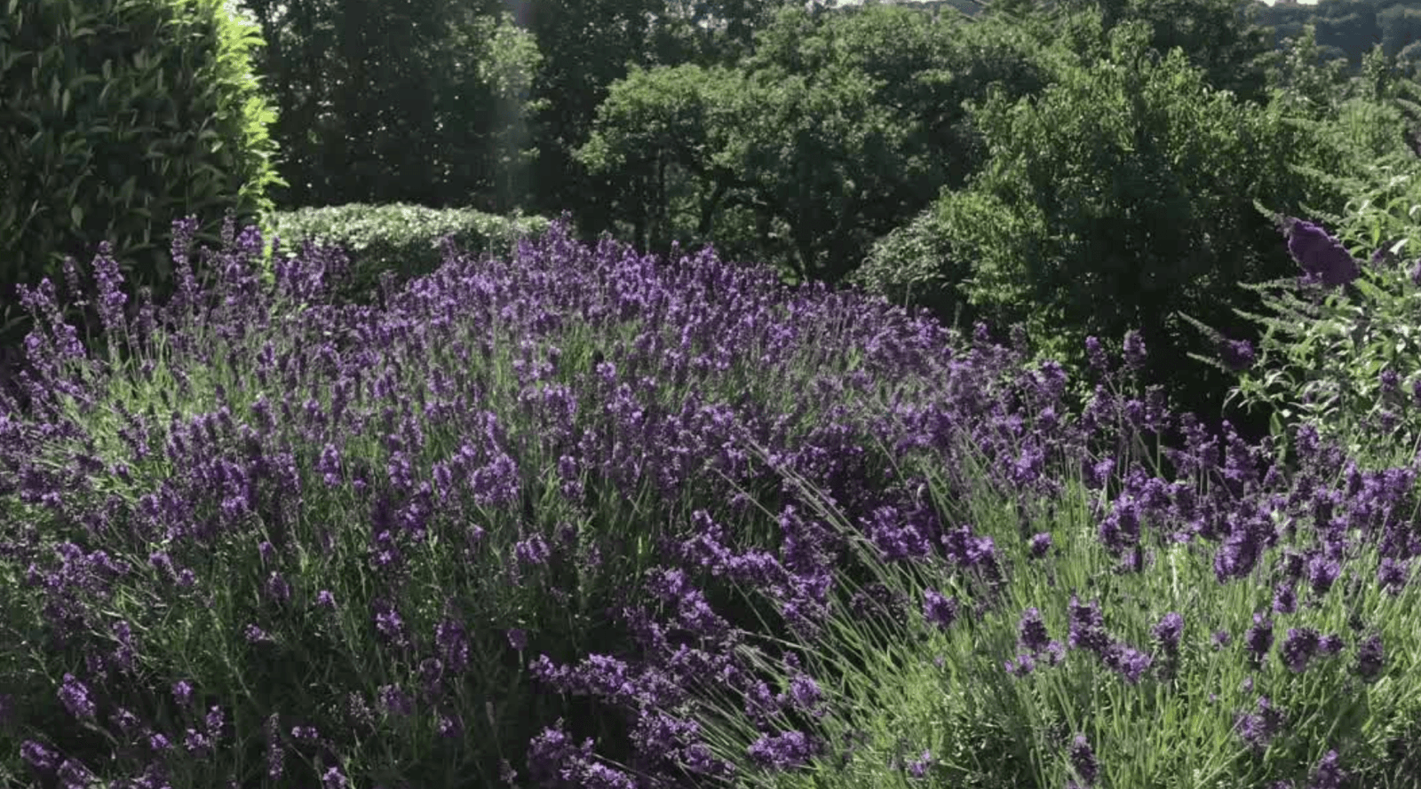 Create calm with our 10 minute relaxation video