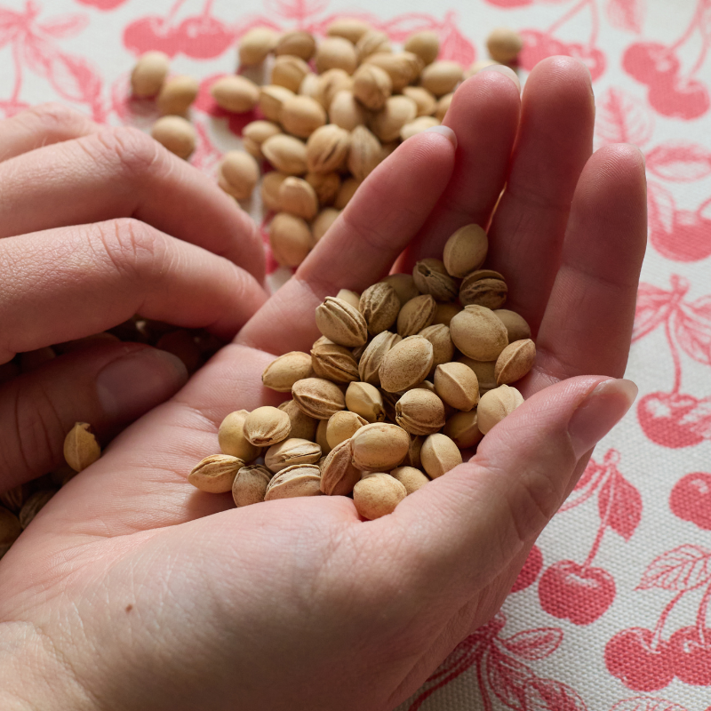 Cherry Stone Hot &amp; Cold Pillow